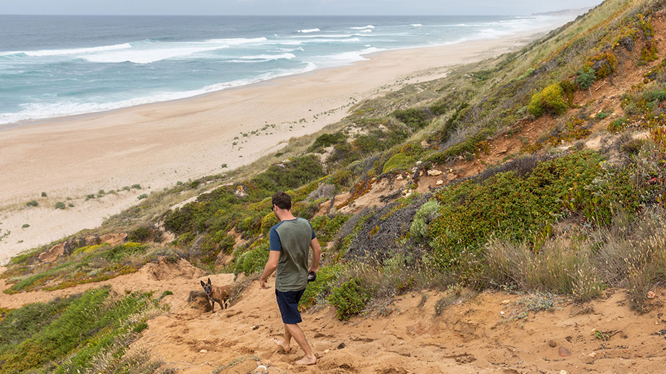 Drive along sandy tracks through pine forests to the beach.