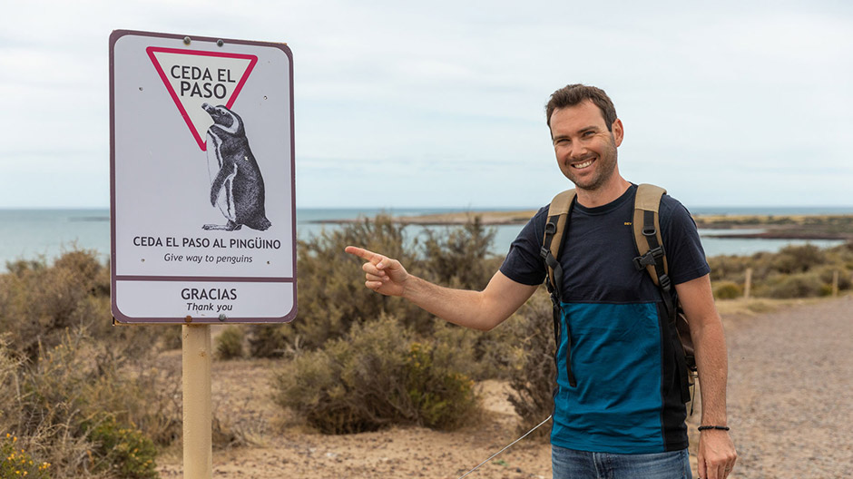 Penguins have right of way – a huge colony of little “gentlemen in tailed coats” lives and breeds on the Punta Tombo peninsula.