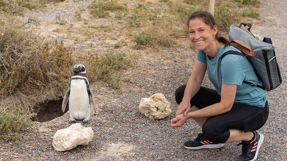 Tierische Nachbarschaft fernab menschlicher Siedlungen: An Argentiniens rauer Küste leben Magellan-Pinguine und Guanakos einträchtig nebeneinander.