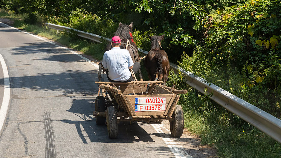 Hors du temps : les charrettes tirées par des chevaux font partie du paysage en Roumanie.