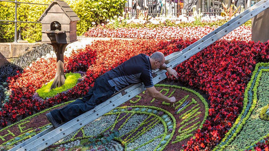 ... and the oldest flower clock in the world.