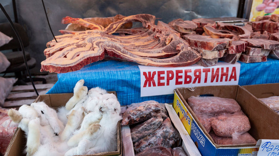 A large selection at the fish market in Yakutsk – and finally phone reception again! On their way to Oymyakon, the Kammermanns were stuck in a dead spot for weeks.