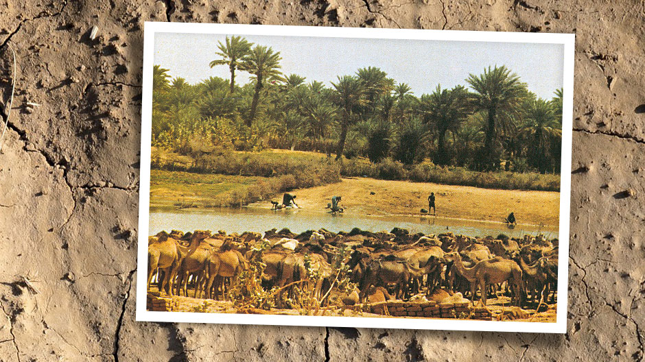 Thankful population: the eight 2632s provided the people in far-flung regions of Mauritania with grain.