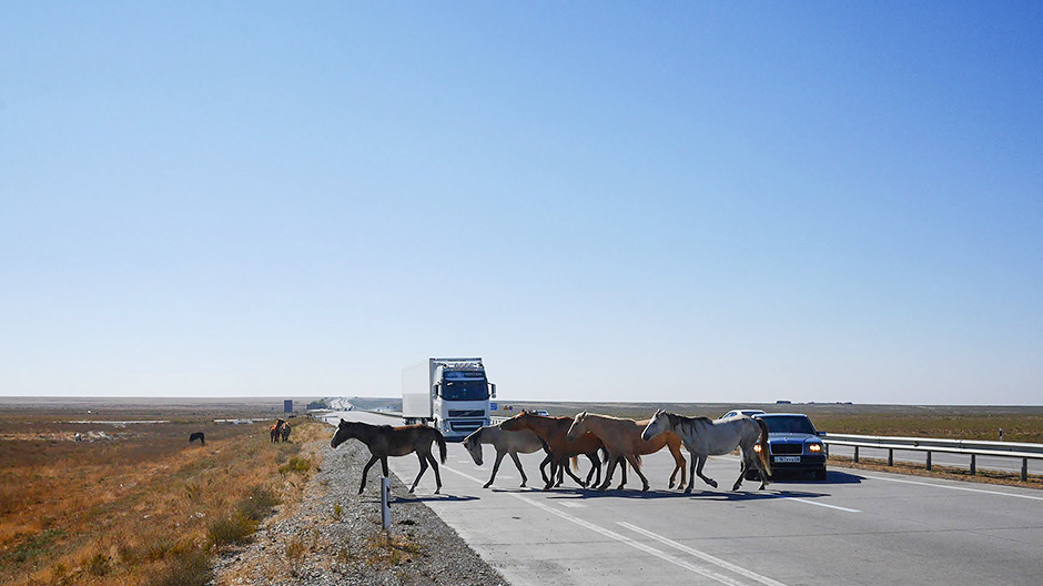 Des chevaux traversent constamment la route. Le long du parcours, des commerçants s’adonnent à leurs activités.