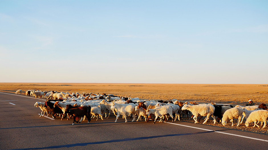Un paesaggio monotono: si attraversa la steppa kazaka per ore e ore.