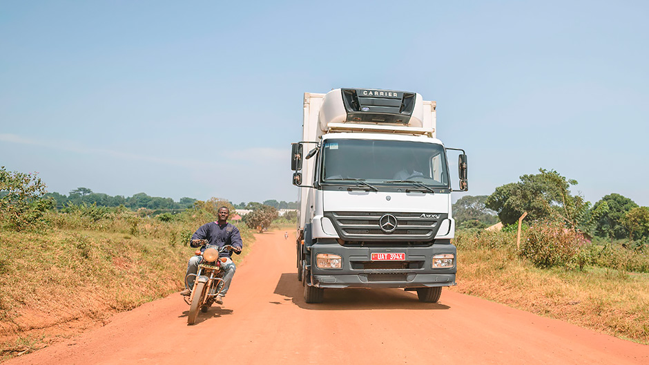Uitdagende wegomstandigheden. De koel-Axor brengt de stekken van de Wagagai-boerderij bijna dagelijks naar de luchthaven van Entebbe. Een groot deel van het traject loopt over oneffen, stoffige zandwegen die bij regen snel veranderen in gevaarlijke glijbanen.